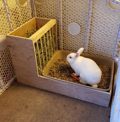 Diy Wooden Hay Feeder Rabbit, Hay Box For Rabbits, Bunny Litter Box Ideas Hay Feeder, Rabbit Box Diy, Rabbit Litter Box Ideas Hay Feeder, Litter Box For Rabbits, Diy Bunny Litter Tray, Diy Rabbit Litter Box And Hay Feeder, Diy Rabbit Playground