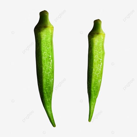 Lady Finger Vegetable, Vegetable Pictures, Background Green, Lady Fingers, Png Hd, Green Vegetables, Mixed Vegetables, No Background, Okra