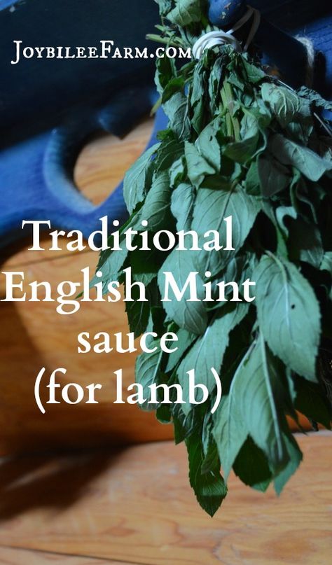 Mint Jelly For Lamb, Mint Sauce For Lamb, Mint Jelly Recipe, Mint Sauce, Mint Recipes, Lamb Roast, Jelly Recipes, Savory Sauce, English Food