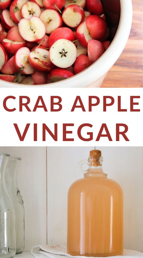 Crab Apple Cider, Plums Recipes, Crab Apple Recipes, Homemade Apple Cider Vinegar, Fruit Vinegar, Diy Apple Cider, Vinegar Recipes, Make Apple Cider Vinegar, Apple Cider Vinegar Recipes