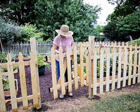 How to Build a Picket Fence Garden Gate | HGTV Picket Fence For Garden, Pallet Wood Picket Fence, Diy Picket Fence Gate, Picket Fence Around Garden, Garden Gates And Fencing Diy, Cottage Garden Picket Fence, Picket Fence Chicken Run, Picket Garden Fence, Diy Picket Fence Ideas