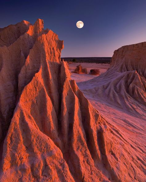 Sand Dune Aesthetic, Desert Collage, Desert Inspiration, Desert Aesthetic, Have Inspiration, Life On Mars, Nsw Australia, Zion National Park, In The Desert