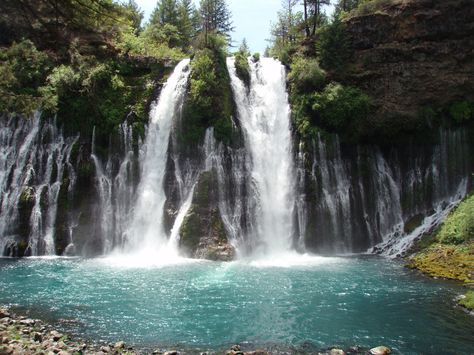 When you think about Northern California do you think about waterfalls? You should! These treasures are only a hike away. California Waterfalls, Burney Falls, Falling Waters, California Hikes, California Camping, California Vacation, Water Falls, California Travel Road Trips, Beautiful Waterfalls