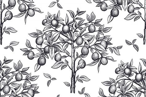 Premium Vector | Seamless pattern with citrus trees. black and white drawing. Lemon Tree Tattoo Black And White, Tree Tattoo Black, Trees Black And White, Tree Drawing Simple, Citrus Tree, Tree Sketches, White Drawing, Citrus Trees, Tree Drawing