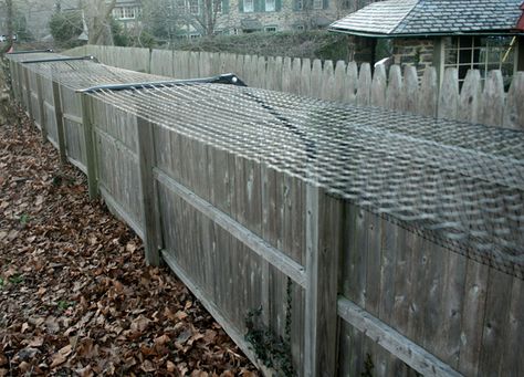 dog fence ideas | Fence Dog Extension Dog Proof Fence, Kennel Ideas Outdoor, Cheap Dog Kennels, Husky Puppies For Sale, Cat Playpen, Enclosure Ideas, Cat Enclosures, Cat Fence, Outdoor Cat Enclosure