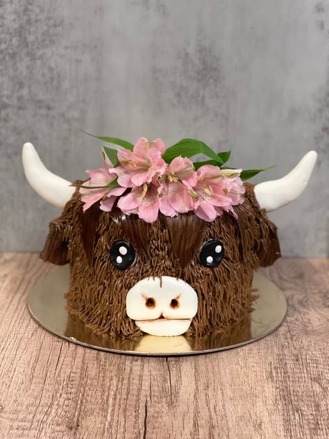 Cow Cakes, Cow Birthday, 2 Birthday Cake, Highland Cow, Grad Parties, Cake Smash, 2nd Birthday, Cow, First Birthdays