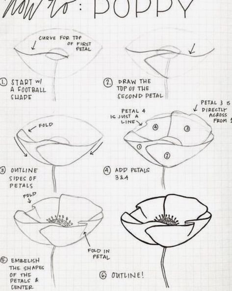 Hur Man Ritar Blommor, Modele Zentangle, Paper Petals, Botanical Line Drawing, Flower Drawing Tutorials, Drawing Flowers, Flower Art Drawing, Floral Drawing, California Poppy