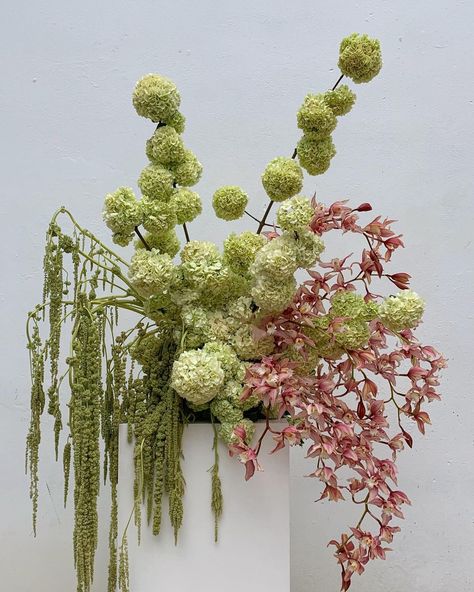 HATTIE on Instagram: “Snowball viburnum of my dreams” Big Flower Arrangements, Styling Bed, Snowball Viburnum, Modern Bouquet, Floral Styling, Modern Floral Design, Colourful Wedding, Flower Therapy, Prop Styling