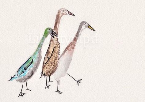 Duck Illustration, Runner Ducks, Duck Drawing, Watercolour Ideas, Watercolour Illustration, Ink Drawings, Ink Drawing Illustration, Pen Ink, Ink Pen Drawings