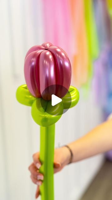 One Tulip Bouquet, Balloon Flower Bouquet Tutorial, How To Make Flower Balloons Diy, Tulip Balloon Bouquet, 260 Balloon Flower, How To Make A Flower Balloon, Diy Balloon Bouquet Tutorials, Diy Flower Balloons, How To Make A Balloon Flower