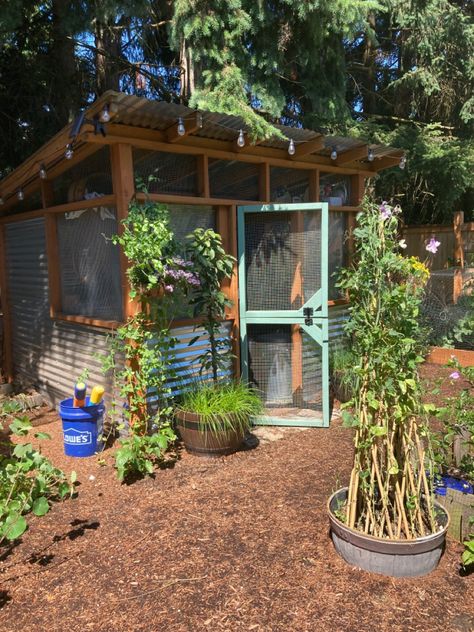 Backyard Chicken Coop Cottagecore Chicken Coop, Chickens Garden, Chicken Hutch, Backyard Chicken Coop, Cute Chicken Coops, Chicken Coop Garden, Chicken Shed, Chicken Home, Backyard Chicken Coop Plans