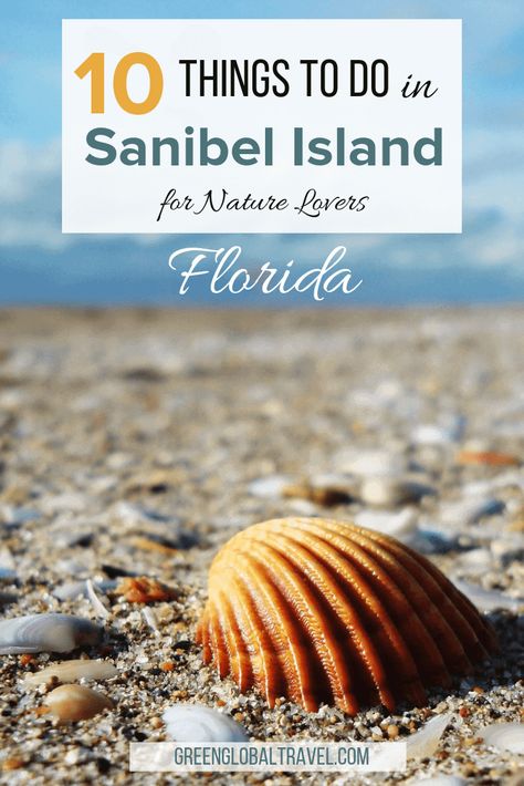 Top 10 Things to Do in Sanibel Island, Florida (For Nature Lovers) Cayo Costa State Park, Sanibel Island Beaches, Sanibel Florida, Florida Vacation Spots, Destin Florida Vacation, Rosemary Beach Florida, Shore Birds, Sanibel Island Florida, Florida Adventures