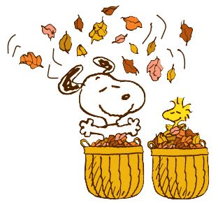 Snoopy & Woodstock fall into Autumn Hello Kitty Imagenes, Leaves Falling, Charlie Brown Snoopy, Peanuts Cartoon, Peanuts Characters, Snoopy Quotes, Snoop Dog, Snoopy Love, Charlie Brown Peanuts