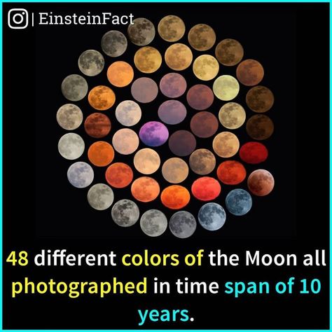 Facts About World, Facts About The World, Youtube Facts, World Mythology, Interesting Facts About World, About World, Followers On Instagram, Wow Facts, Did You Know Facts