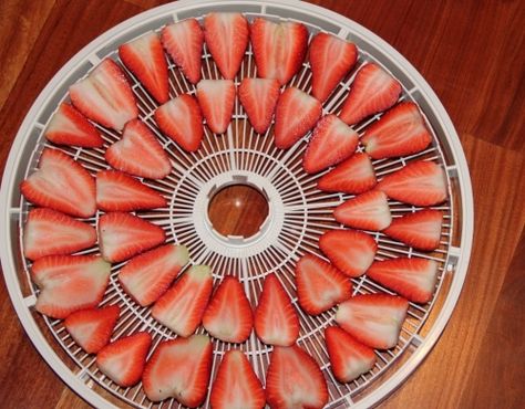 Dehydrator Recipe: Strawberry chips Dehydrating Strawberries, Dehydrator Recipes Strawberries, Air Fryer Dehydrated Strawberries, Dehydrated Strawberries In Dehydrator, Dehydrating Fruits In Dehydrator, Food Dehydration, Fruit And Vegetable Storage, Dehydrated Fruit, Dried Strawberries