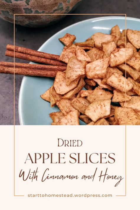 Dried apples with cinnamon and honey Dehydrated Cinnamon Apples, Dried Cinnamon Apple Slices, Dehydrate Apples In Oven, Baked Apple Slices With Cinnamon, Dried Apples Dehydrator, Dried Apples In The Oven, How To Dry Apples, Dried Apple Slices, Dried Apple Rings