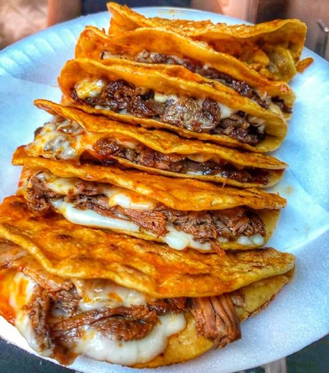 Easy Bria Tacos, Quesa Tacos Recipe, Bria Taco, Birria Tacos Aesthetic, Mexican Bria Tacos, Biria Taco, Birria Taco Aesthetic, Taco Aesthetic, Beef Bria Tacos