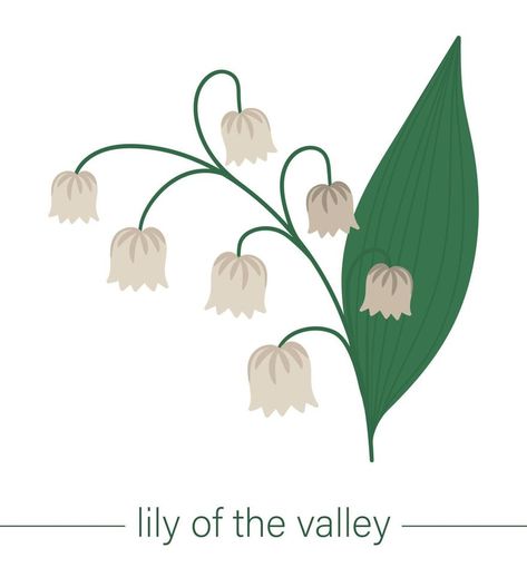 Vector flat lily of the valley illustration. Cute spring flowers. First blooming plants. Floral clip art isolated on white background. Lily Of The Valley Illustration, Valley Illustration, Vector Nature, Leaf Illustration, Illustration Cute, Blooming Plants, Background Background, Cute Spring, Nature Design