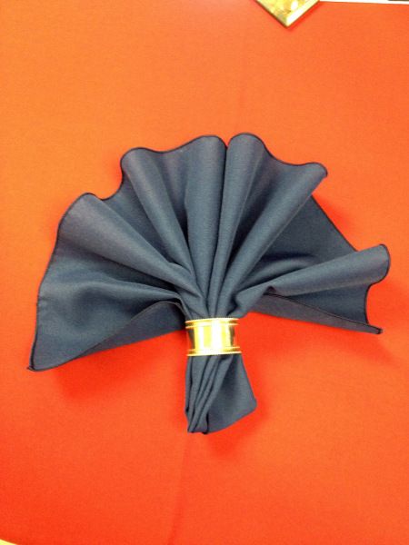 Photo Jul 03, 1 39 23 PM Wedding Napkin Folds, Napkin Ring Folding, Diy Wedding Napkins, Towel Folding Ideas, Wedding Napkin Folding, Fancy Napkin Folding, Cloth Napkin Folding, Entertaining Tablescapes, Napkin Folds