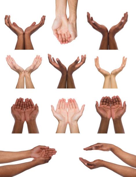 20,466 Cupping Hands Stock Photos, Pictures & Royalty-Free Images - iStock Cupping Hands, Black And White Hands, Hand Holding Something, Hand Outline, Giving Hands, Cupped Hands, Hand Reference, Hands Holding, Open Hands