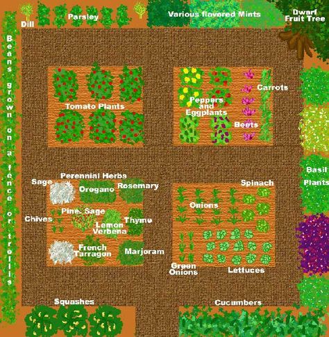 A rough design for a kitchen garden based on the average garden size. The center beds are approximately 4'x6' and the overall area is about 22' square. Planning: Note which side sun is directed at your plot. Make sure taller plants won't shade shorter ones as they grow. Crowd smaller plants together to prevent sunburn on fruit and give larger plants plenty of room to sprawl. Plan Potager, Garden Plot, Garden Layout Vegetable, Vegetable Garden Planning, Garden Plan, Potager Garden, Garden Design Layout, Perennial Herbs, Vegetable Garden Design