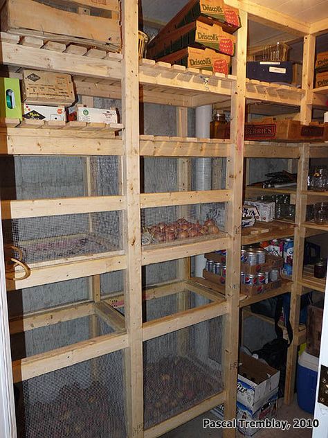 Cold-storage unit / cool room in house basement - Guide to build it - Basement Storage Closet, Diy Vegetable Storage Bin, Root Cellar Storage, Cold Storage Room, Vegetable Storage Bin, Diy Food Storage, Food Storage Rooms, Food Storage Shelves, Wooden Storage Shelves