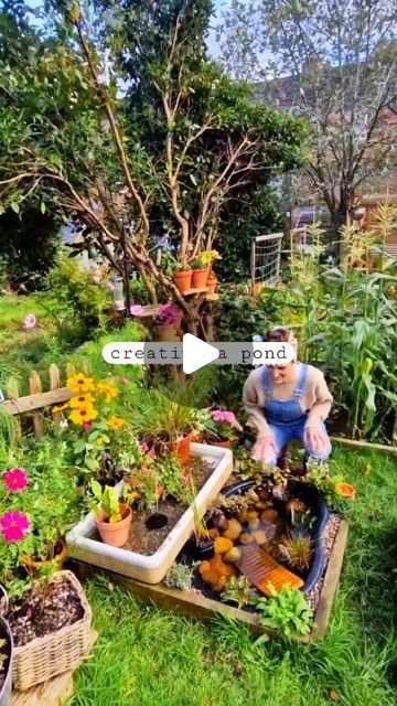 My Daley garden journey on Instagram: "Creating a pond.. ♡ 
This is how I built mine 

#gardenjobs #gardenersofinstagram #gardentips #gardenerslife #gardeningismytherapy" Mini Pond, Diy Pond, A Pond, August 17, Gardening Tips, Building, On Instagram, Instagram