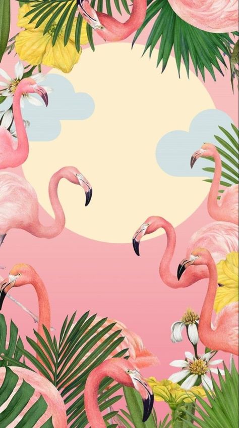 Flamingo Background, Pixel Wallpaper, Wallpaper Design Pattern, Summer Flamingo, Flamingo Wallpaper, Flamingo Bird, Flamingo Art, Flamingo Party, Tropical Wallpaper