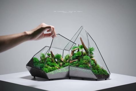 The Terragon - X, our luxury-grade geometric terrarium, is all about attention to detail. Destination: ✈️ Miami Beach, FL 🇺🇸 Approximately 30 hours are dedicated to selecting the suitable moss species for intricate detailing. This is in addition to another 20 hours of arranging preserved wood roots organically, without considering the time allocated for glass preparation and sterilization steps. Why do we devote so much care and effort? It’s because we sincerely appreciate and respect our ... Geometric Terrarium, Attention To Detail, Miami Beach, Terrarium, Miami, The Selection, Glass, Wood, Quick Saves