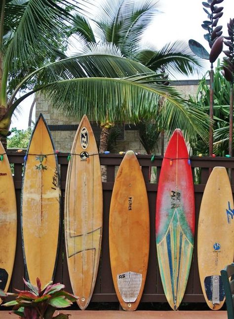 Surf is up ❁ @alinenathalieep ❁ Palm Trees, Fence, Hawaii, Trees, Building