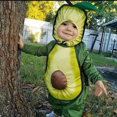 🙋HEALTHY FOOD GUIDELINES 🙆 on Instagram: “how cute is this little avocado 😍😍 Pleqse DM for credit  #foodguidelines  #cute #food #avocado” Baby Humor, Breech Babies, Blasian Babies, Preterm Baby, Orbit Baby, Baby Play Yard, Baby Skunks, Colicky Baby, Baby Playpen