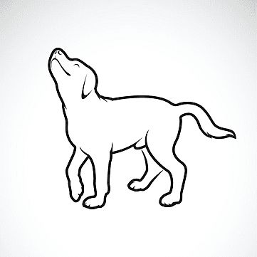 dog drawing,dog sketch,serious,art,image,canine,purebred,drawing,head,cartoon,white,thoroughbred,black,sign,graphic,tattoo,yellow,line,labrador,silhouette,lab,puppy,illustration,domestic,background,big,cute,vector,design,nature,easy,sketch,animal,dog,outline,happy,a,editable,pet,one,animals,doggy,portrait,tail,of,on,icon,layered,mascot,hunting,young,retriever,mammal,beautiful,breed,symbol,logo,isolated,collection Outline Of A Labrador, Big Dog Drawing, Labrador Dog Drawing, White Thoroughbred, Labrador Sketch, Dog Sketch Easy, Dog Garland, Labrador Cartoon, Dog Sketches