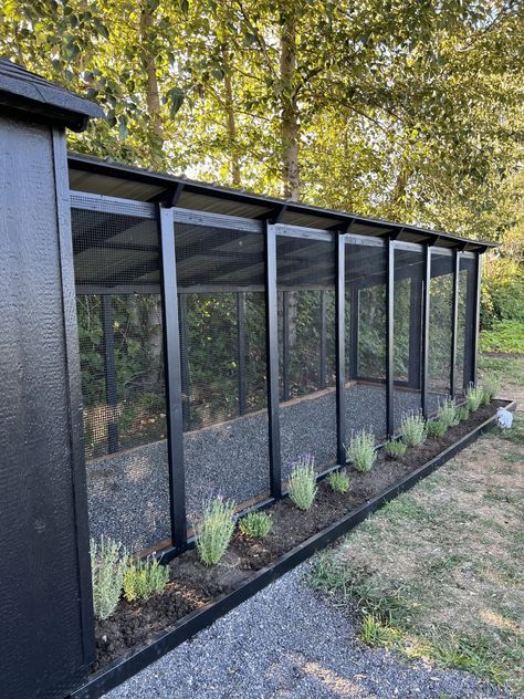 Chicken Coop - Chicken Coop Fenced In, Rooftop Chicken Coop, Chicken House With Run, Chicken Coop Slanted Roof, Diy Chicken Run Door, Moody Chicken Coop, Mid Century Modern Chicken Coop, Side Yard Chicken Coop, Minimalist Chicken Coop