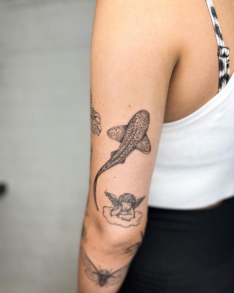 Tiny Zebra Tattoo, Monstera Pot, Bday Tattoo, Zebra Tattoos, Zebra Shark, Ocean Tattoos, Intricate Tattoo, Shark Tattoos, Plant Tattoo