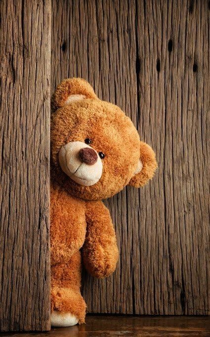 Tady Bear, Happy Teddy Day, Teddy Bear Day, Seize The Moment, Teddy Day, Propose Day, Rose Day, Teddy Bear Wallpaper, Chocolate Day