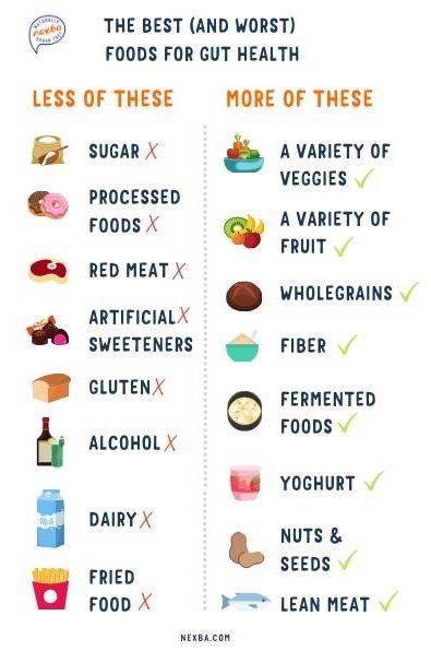 Eat For Health, Healthy Gut Diet, Healthy Gut Recipes, Gut Health Diet, Gut Health Recipes, Snacks Healthy, Improve Gut Health, Living Healthy, Health Conscious