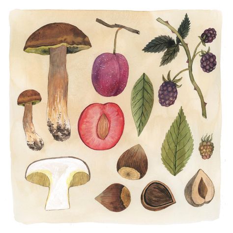 Stardew Valley Foraging, Autumn Foraging, Valley Illustration, Fall Foraging, Illustration Moodboard, Taryn Knight, Plant Sketches, Initial Prints, Fall Watercolor