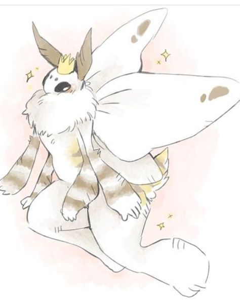 Moth Drawing Cute, Poodle Moth, Anthro Moth, Moth Drawing, Cute Moth, Moth Design, Anthro Art, Moth Art, Bear Art