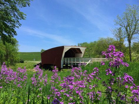 6. The Bridges of Madison County during spring The Bridges Of Madison County, Iowa Road Trip, Bridges Of Madison County, Midwest Road Trip, Iowa Travel, Madison County, Covered Bridge, Covered Bridges, Small Town