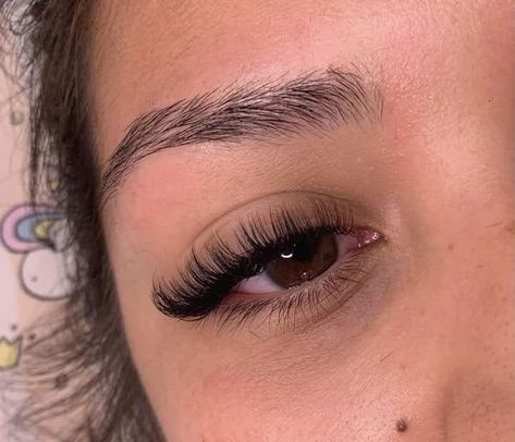 Classic Mink Lash Extensions, Hybrid Cat Eye Lash Extensions, Wispy Hybrid Lashes, Wispy Hybrid, Hybrid Lash Extensions, Hybrid Lashes, Natural Fake Eyelashes, Lashes Fake Eyelashes, Lashes Tutorial