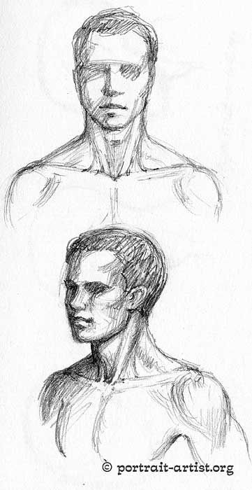 Male Neck Drawing, Gesture Sketch, Male Neck, Neck Anatomy, Neck Drawing, Figure Drawings, Human Anatomy Drawing, Gesture Drawing, Anatomy Drawing