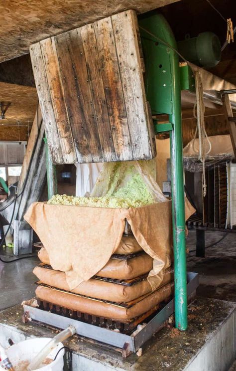 Apple Cider Press, Apple Danish, Making Apple Pie, Apple Press, Cider Press, Cider Mill, Homemade Apple Cider, Cider Making, Hard Cider