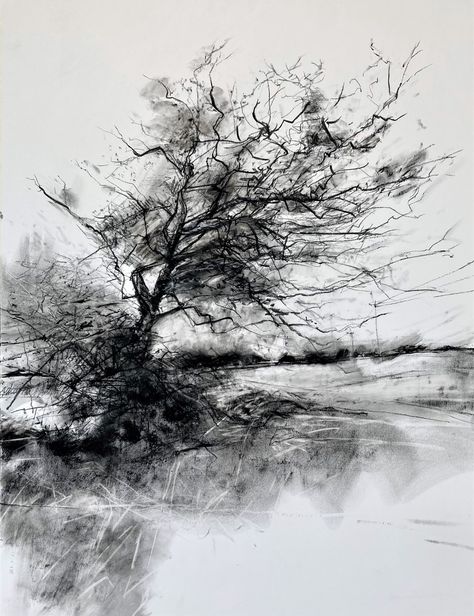 Tree Pencil Sketch, Abstract Charcoal Art, Easy Charcoal Drawings, Pencil Landscape, Art Graf, Expressionist Landscape, Landscape Pencil Drawings, Abstract Sketches, Graphite Art