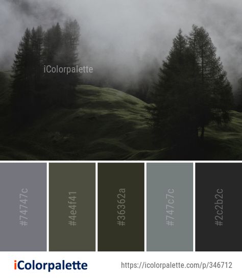 Dark Nature Color Palette, Gloomy Color Palette, Fog Images, Dark Academia Color Palette, Color Palette From Image, Wall Color Combination, Dark Color Palette, Website Color Palette, Forest Color