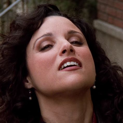 Elaine Benes Makeup, Julia Louis Dreyfus 90s, Elaine Aesthetic, Lilith Sternin, Elaine Seinfeld, Seinfeld Kramer, Niche Interests, Elaine Benes, Female Icons