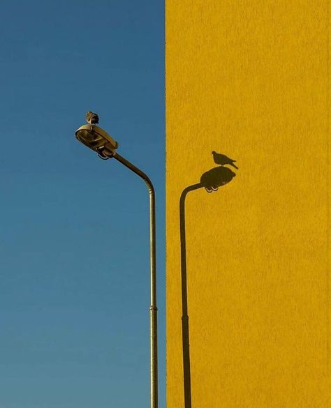 Alfred Stieglitz, Street Lamp, Street Photographers, Yellow Aesthetic, Blue Aesthetic, Bored Panda, Old Photos, Aesthetic Pictures, Street Photography