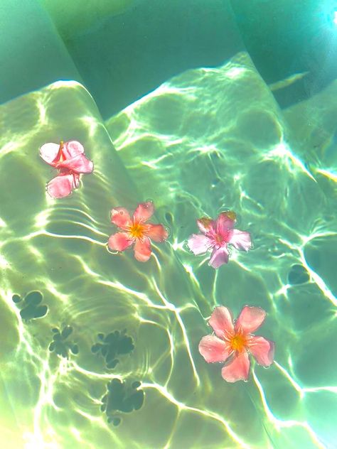 Roses In Water Aesthetic, Floating Flowers In Pool, Pink Flowers In Water, Pink Tropical Aesthetic, Flowers In Water Aesthetic Wallpaper, Flower Bath Aesthetic, Flower Floating In Water, Flowers Floating In Water, Y2k Aesthetic Wallpaper Pink