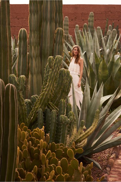 BHLDN Allegra Gown in  New | BHLDN Cactus Reference, Dessert Photoshoot, Cactus Photoshoot, Layers Art, Cactus Fashion, Desert Shoot, Desert Forest, Mexican Beauty, Minimal Photo