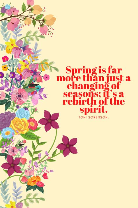 I Love Spring Quotes, Quotes About Spring And New Beginnings, Happy Spring Quotes Funny, Season Quotes Life, Spring Forward Quotes, Ready For Spring Quotes, Quotes On Spring, Spring Time Quotes, Spring Vibes Quotes