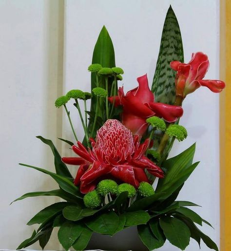 A tropical flower arrangement using #exotic torch ginger. Ginger Flower Arrangement, Torch Ginger Flower, Torch Ginger, Tropical Floral Arrangements, Tropical Flower Arrangements, Ginger Flower, Church Flower Arrangements, Flower Arrangements Simple, Tropical Flower